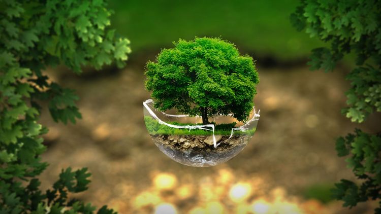 Image illustrant notre article:Le "big-bang" de la rénovation énergétique promis par le gouvernement